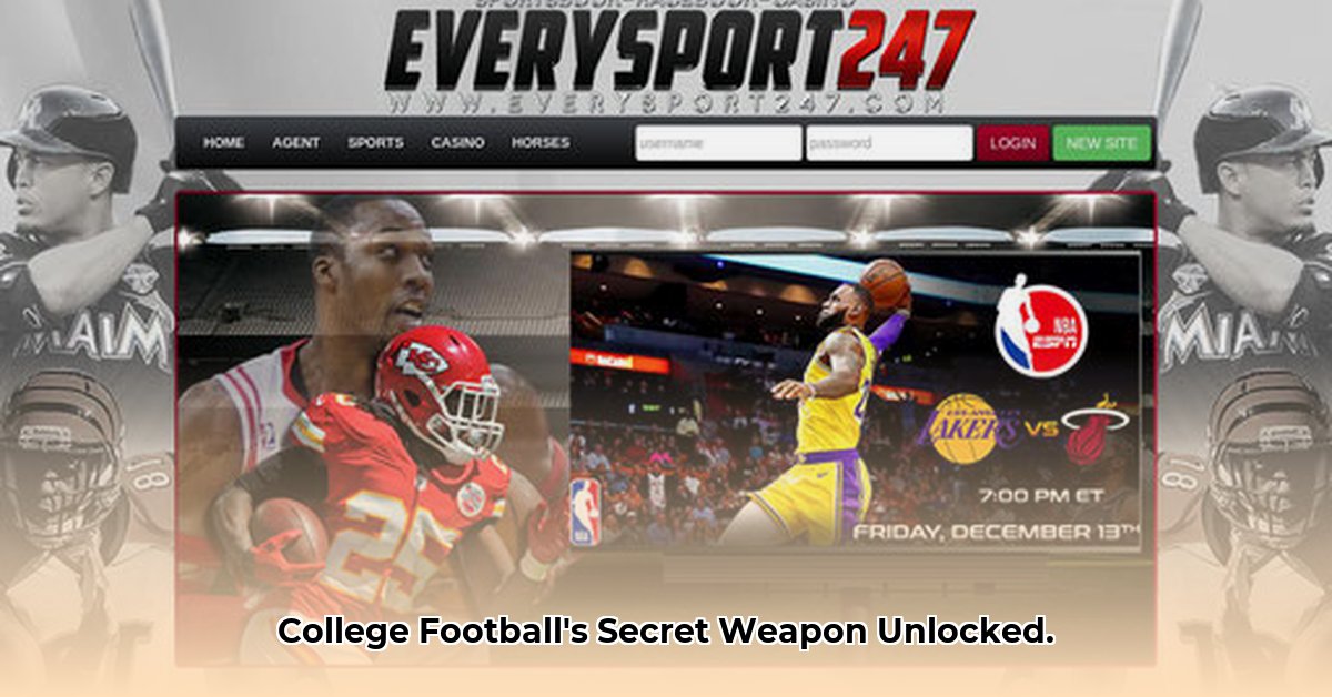 everysport247-com